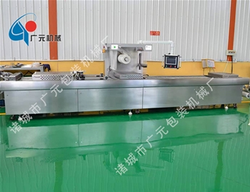 拉伸膜全自動(dòng)真空包裝機(jī)（DZDL-520型）