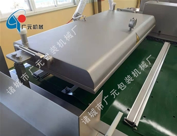 滾動(dòng)式連續(xù)真空包裝機(jī)（DZD-1100型）